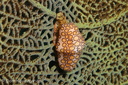 IMG 8079