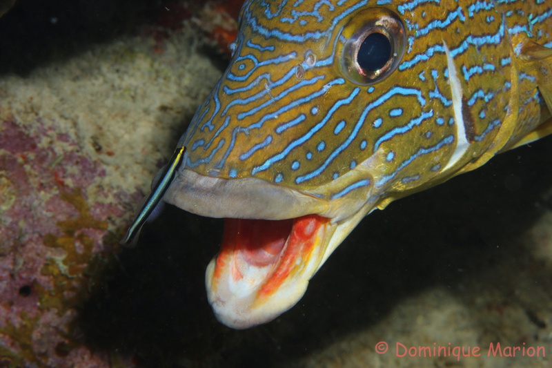 Bonaire_041.jpg