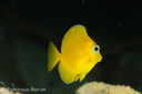 Bonaire 216